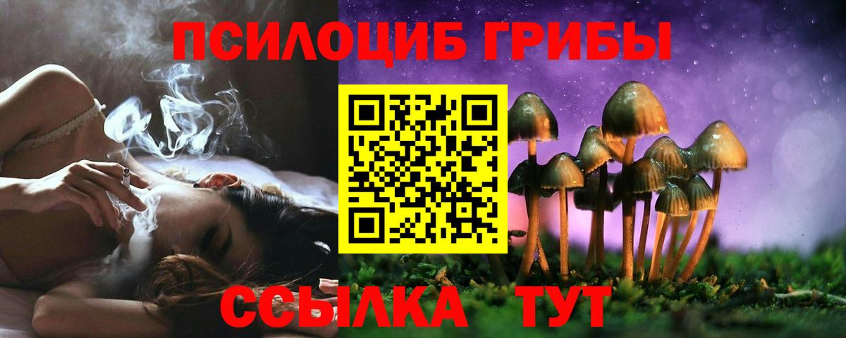Псилоцибиновые грибы MAGIC MUSHROOMS  Галлюциногенные грибы Psilocybe  Вход с VPN  Энгельс 